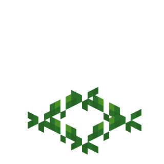 Рост моркови.png